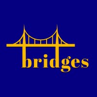 Bridges Initiative Logo