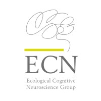 ECN Group Logo