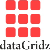 dataGridz Logo