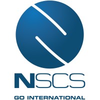 N-Strategy Consulting Services Logo