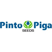 Pinto Piga Seeds Logo