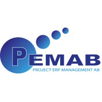 PEMABbusiness Logo