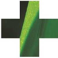 Green Cross, Incorporated Logo