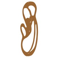 Dingui Akassi International Logo