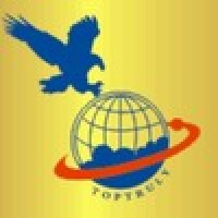 TopTruly Electronic (HongKong) Limited Logo