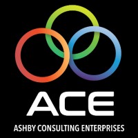 ACE LLC - Board Training Logo
