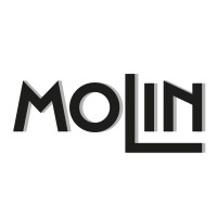 MOLIN Industrie – Inbetriebnahme & Montage Gesellschaft mbH & Co.KG Logo