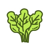 Spinach21 Logo