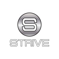 Strive Insurance Group, Inc. Logo
