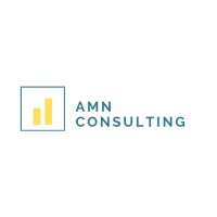 AMN Consulting LLC Logo