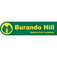 Burando Hill Logo