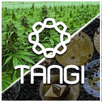 Tangi Logo