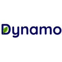 Dynamo Solar Logo