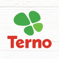 Terno Logo