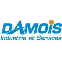 Damois Logo