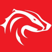 Brock University Student Union (BUSU) Logo