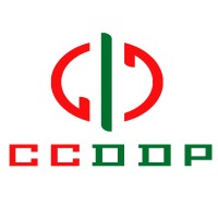 DDP China Center Logo
