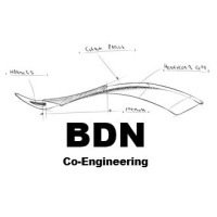 BDN Co-Engineering Logo