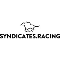 Syndicates.Racing Logo