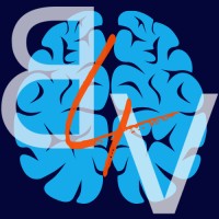 Brain4Value Logo