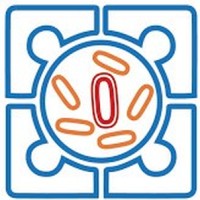 ABR Zorgnetwerken Noord-Holland en Flevoland Logo