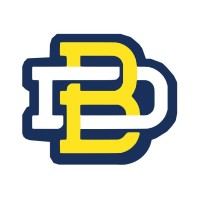 Businostics Logo