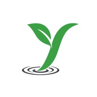 Ywaves Technologies Limited Logo