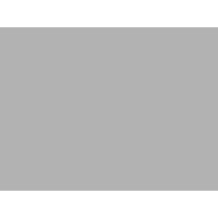 Swot Logo