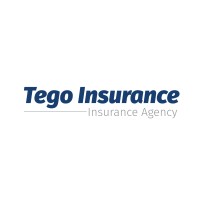 Tego Insurance Logo
