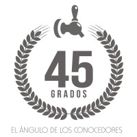 45 Grados Logo