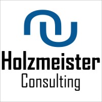 Holzmeister Consulting Logo