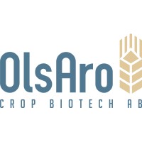 OlsAro Logo