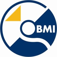 BMI Imaging Systems Logo