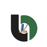 Loombiz Consultancy Logo