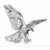 Falcon Property Management Logo