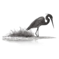 Everglade Psychotherapy Group LLC Logo