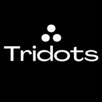 Tridots Ventures Private Limited Logo