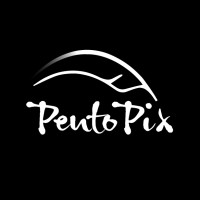 PentoPix Ltd Logo