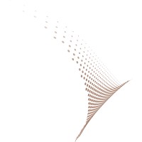 Sterna Capital Logo