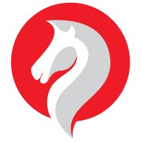 Innovation Knights Logo