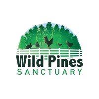 Wild Pines Sanctuary Logo