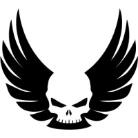 Valkyrie Aero, LLC Logo