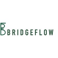 BridgeFlow Logo
