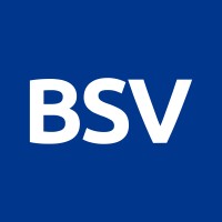 BSV Blockchain Logo