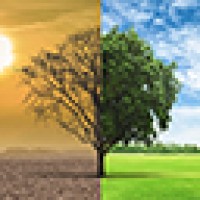 My Climate Contribution Logo
