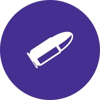 WealthBullet Logo