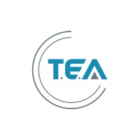 The Equity Advantage Logo