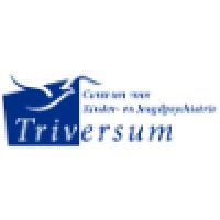 Triversum Logo