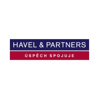 HAVEL & PARTNERS Logo
