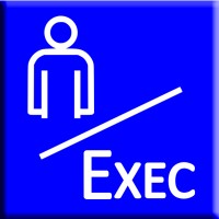 Fractional Exec Solutions Logo